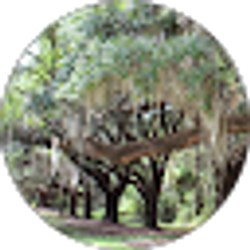 Profile photo of Darren Willie