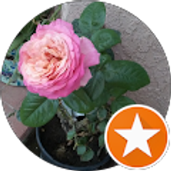 Profile photo of Irina Benskaya