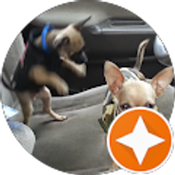 Profile photo of mauricio olmedo