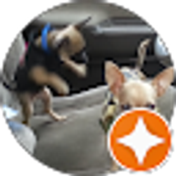 Profile photo of mauricio olmedo