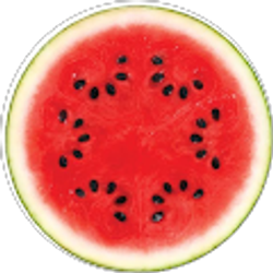 Profile photo of Eliza Jensen