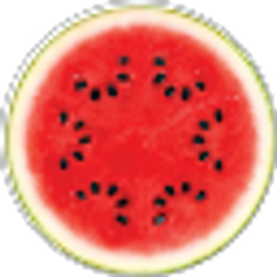 Profile photo of Eliza Jensen
