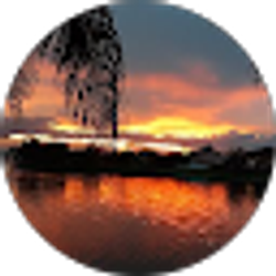 Profile photo of Les Jorge