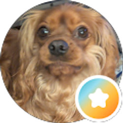 Profile photo of Roger Dunn