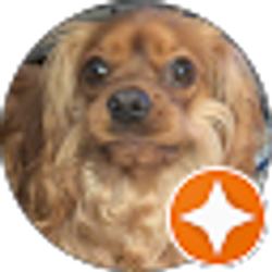 Profile photo of Roger Dunn