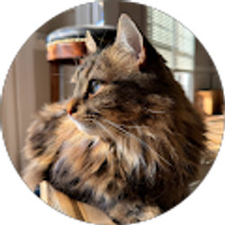 Profile photo of Yifan Wei