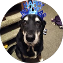 Profile photo of Heather Garrand