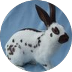 Profile photo of english spot