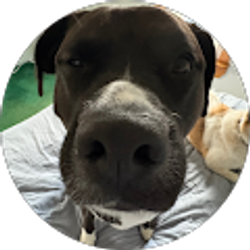 Profile photo of Andy Simon