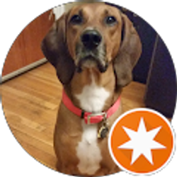 Profile photo of Eric Wermuth