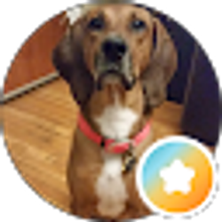 Profile photo of Eric Wermuth