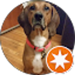 Profile photo of Eric Wermuth