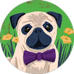 Profile photo of David Bortz