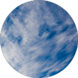 Profile photo of Dayna