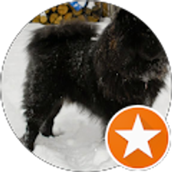 Profile photo of RF Strait