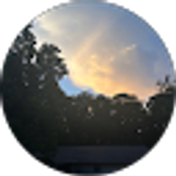 Profile photo of Denisse Argueta