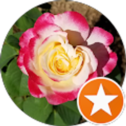 Profile photo of Gina McDowell