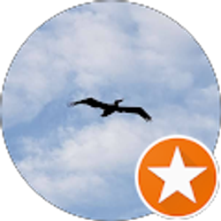 Profile photo of Vicki Monte