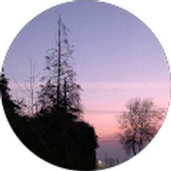 Profile photo of Val Jauregui