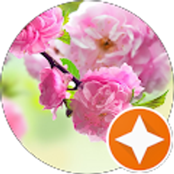 Profile photo of Sierra Savoca