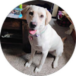 Profile photo of Skyler