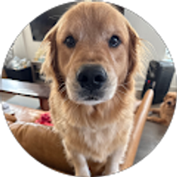 Profile photo of brody denton