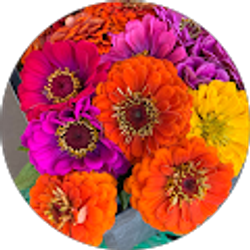 Profile photo of Virginia Ellis