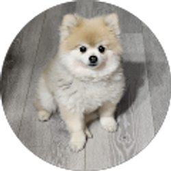 Profile photo of Nereida Miranda