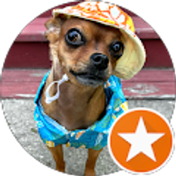 Profile photo of Karlee Ferry