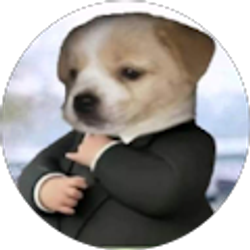 Profile photo of Nelson Canales