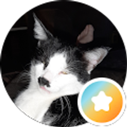 Profile photo of Foodie