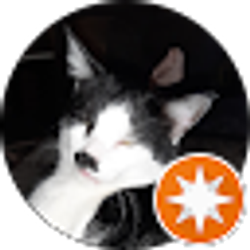 Profile photo of Foodie