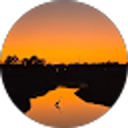 Profile photo of Travis Brown