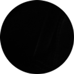 Profile photo of Eric Law