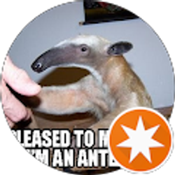 Profile photo of Jeffery Hester