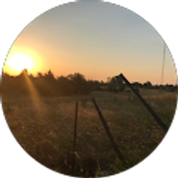 Profile photo of Tammy Cumbee