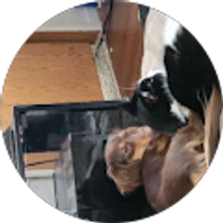 Profile photo of Theresa Burris