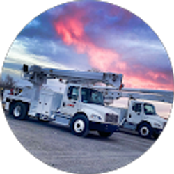 Profile photo of Debbi Green