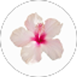 Profile photo of Luz Vargas