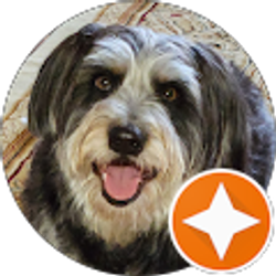 Profile photo of Rena Crane