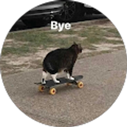 Profile photo of mis vacasiones