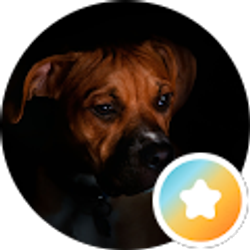 Profile photo of Hsfoto graphy