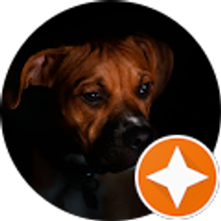 Profile photo of Hsfoto graphy