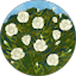 Profile photo of Juvy Rodesno