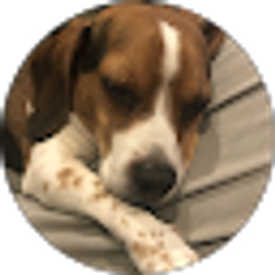 Profile photo of Chris S