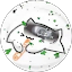 Profile photo of A Trap