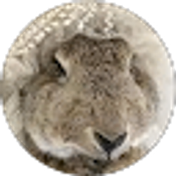 Profile photo of Sara Lopez