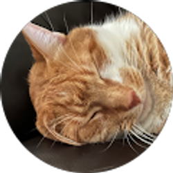 Profile photo of Kana Ward