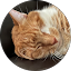 Profile photo of Kana Ward