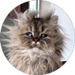 Profile photo of Robin Johnson